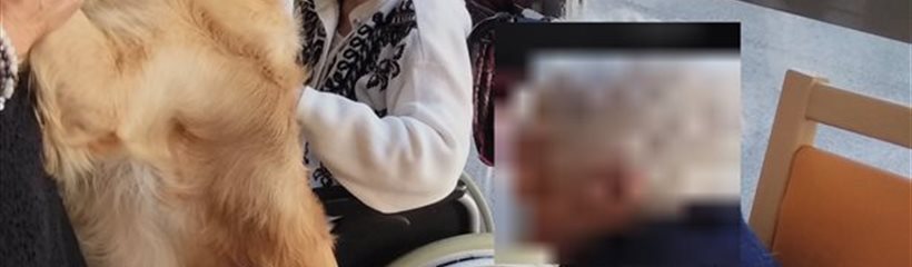 La médiation animale de Claire