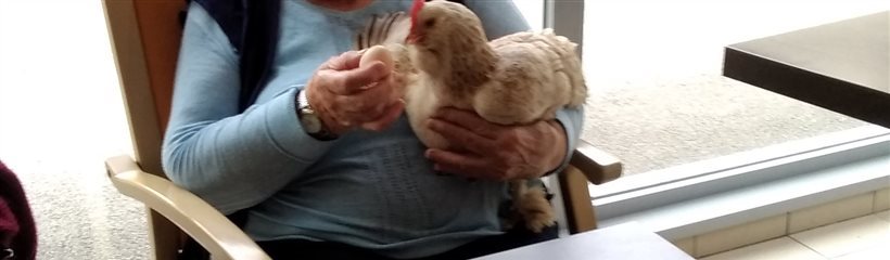 Médiation animale