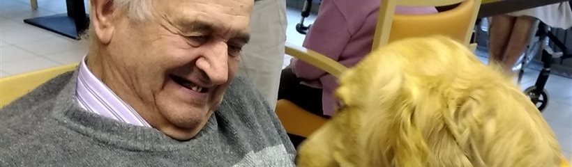 La visite des animaux de Claire