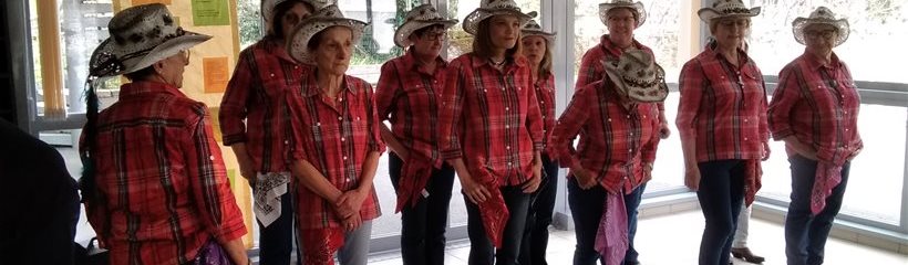 Spectacle de country